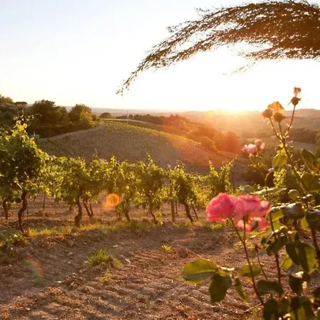 Aster - Azienda Agricola Sotto Il Masso 아파트